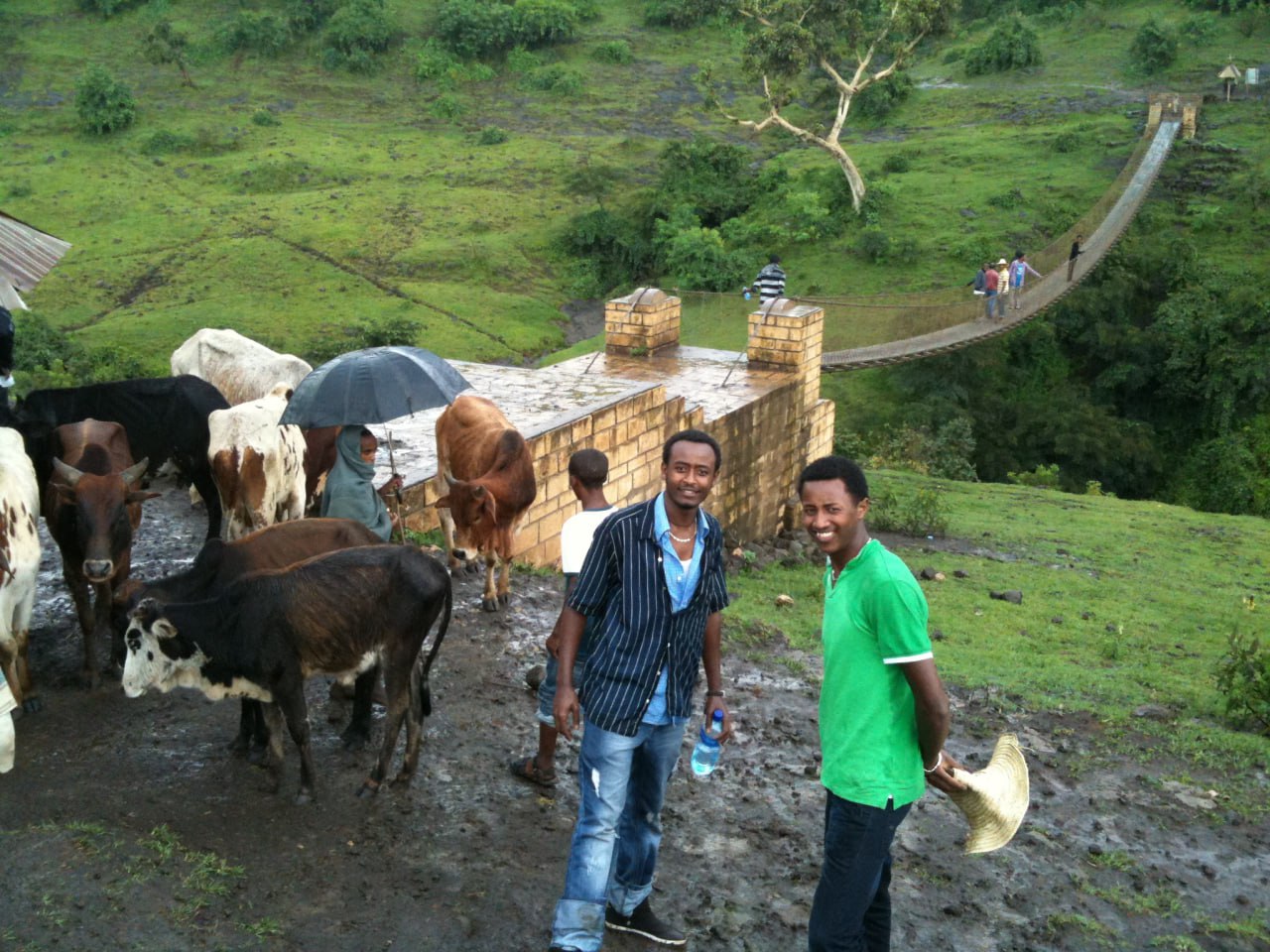 Project image